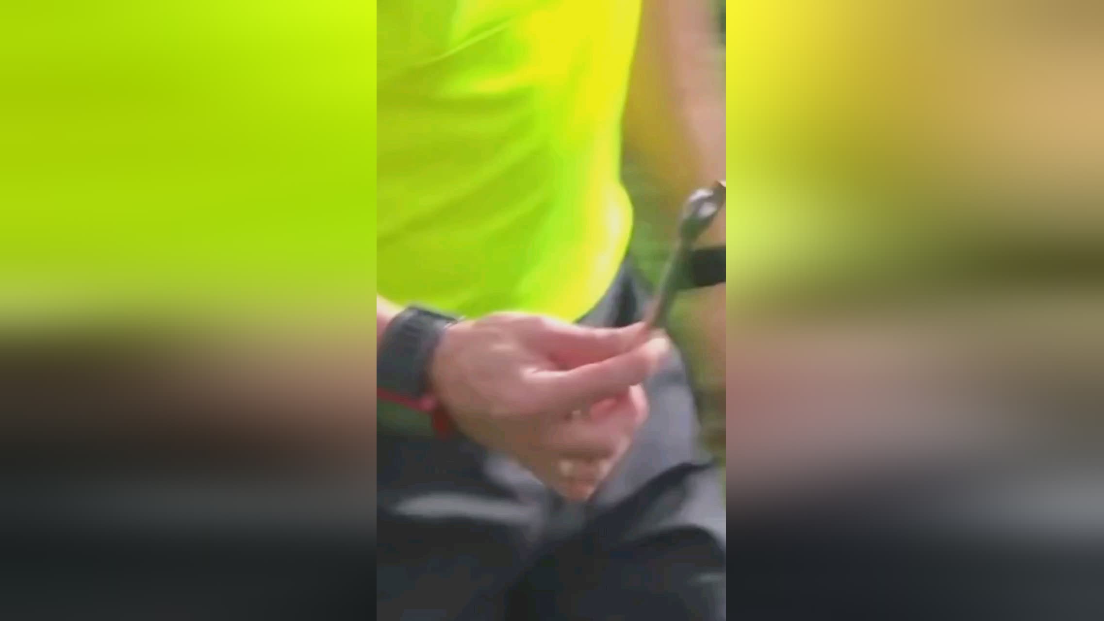 大的